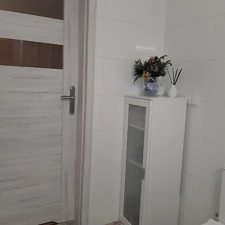Apartament Viktoria Apartment Darlowko